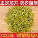 杭州正宗龙井茶2024年新茶43号龙井绿茶春茶茶叶 明前特级A250g