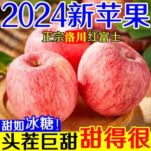 洛川苹果红富士水果新鲜10斤正宗当季脆甜冰糖心整箱应季包邮