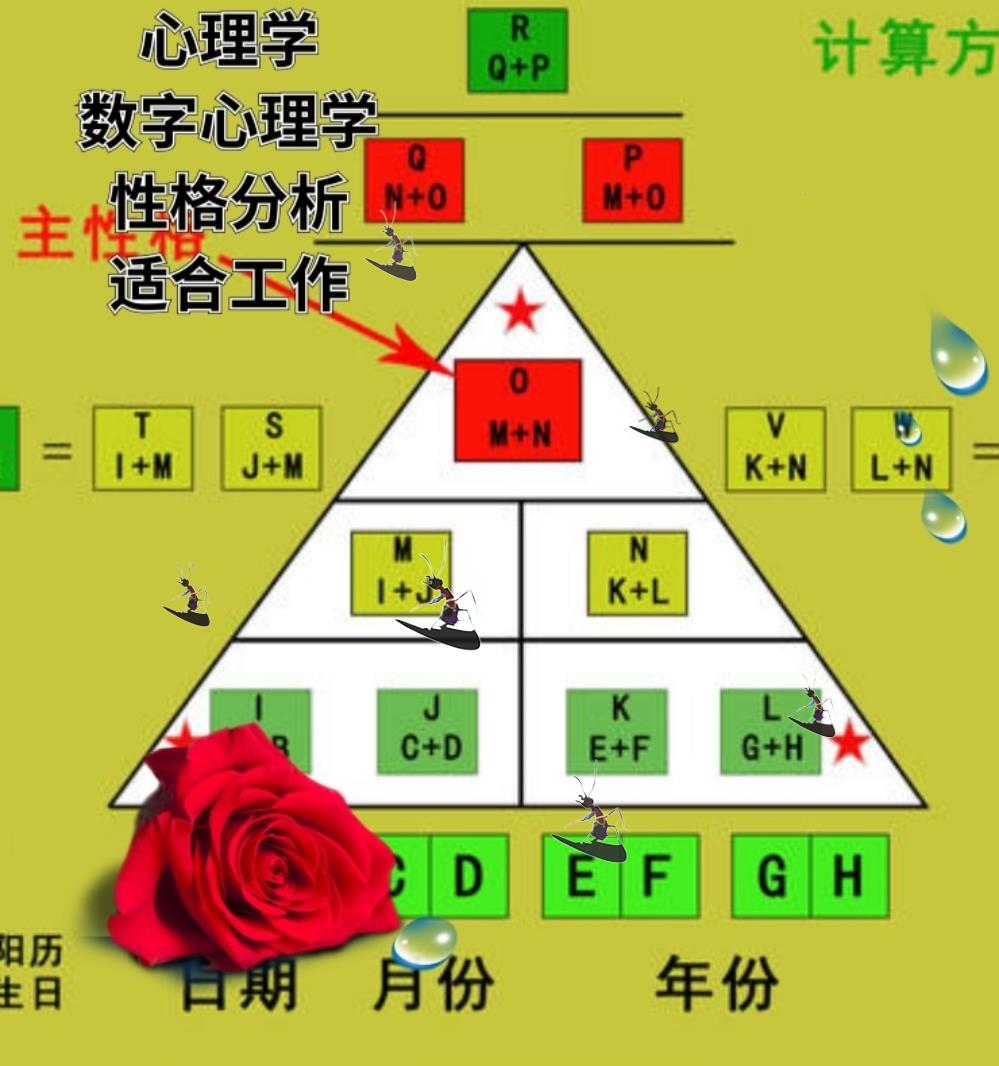 数学心理学生命数字密码性格分析科学联合密码心理释压放松心情