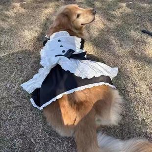 宠物中大型狗狗裙子变身装女仆衣服围裙头饰金毛萨摩巨贵可爱装扮