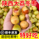 陕西大荔冬枣新鲜水果东枣冰糖枣脆甜时令当季鲜果5斤大红枣现摘