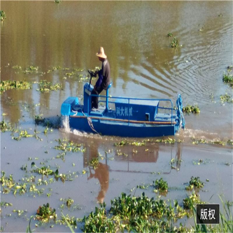 广东云浮水浮莲打捞船 河道水葫芦碎草船 水库湖面捞草机