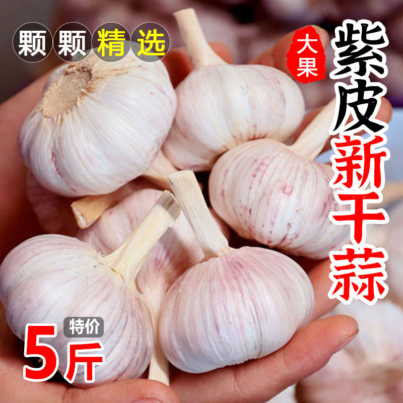 大蒜 新鲜干大蒜头5斤装蒜籽202