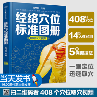 经络穴位标准图册 中医推拿按摩书中医养生书籍大全人体经络穴位图解书 详解经络特点功效 精准取穴方法 日常健康保健技法大字大图