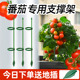 西红柿支撑架番茄辣椒蕃茄种植黄瓜花架支架爬藤架子花植物支撑杆