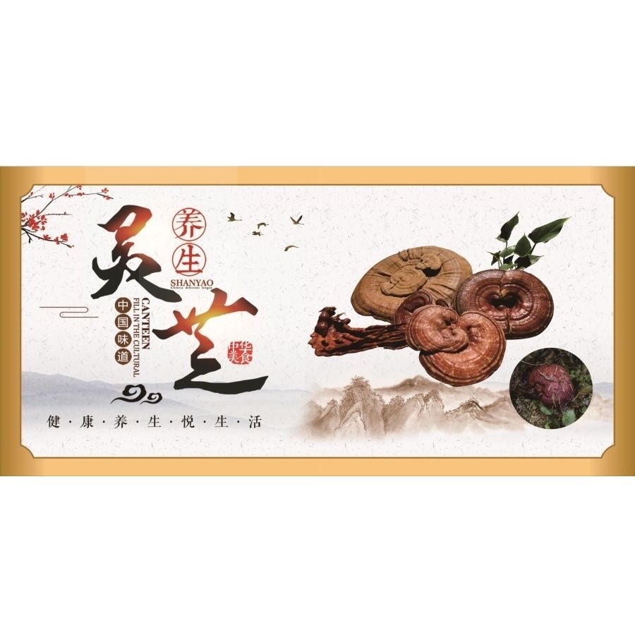 灵芝养生中国味道海报展板灵芝的价值灵芝的食用方法墙贴墙纸