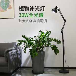 30W植物补光灯全光谱热带绿植盆栽生长灯鱼缸落地灯支架