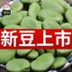 生蚕豆新货干蚕豆农家绿皮蚕豆罗汉豆胡豆可发芽5斤半斤包邮