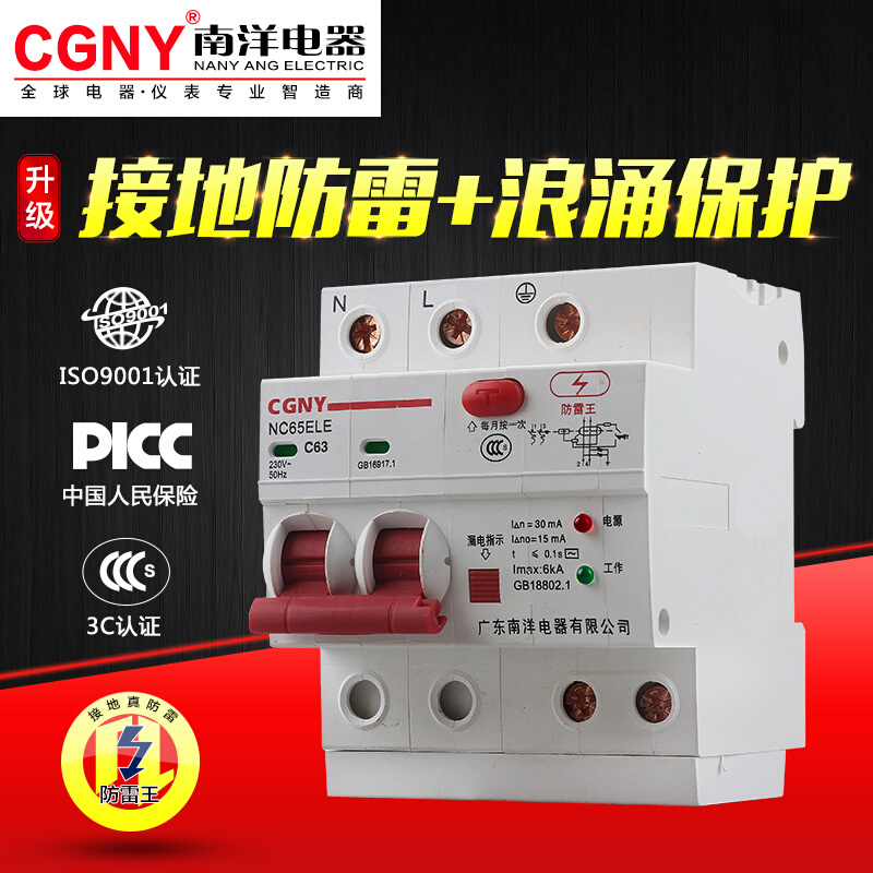 广东洋电器漏电保护器家用总开关防雷浪涌电热水器断路器220V63