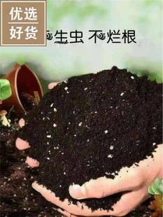 营养土养菜专用通用型家用土壤种植土种菜有机花土大袋阳台种蔬菜