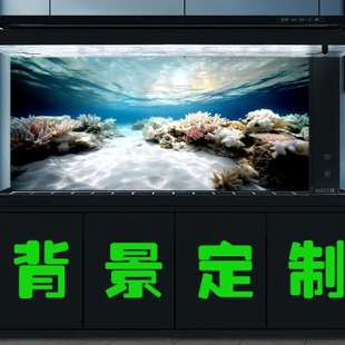 鱼缸贴纸背景画溪流石头光照景深3D水族箱造景装饰壁纸高清定制