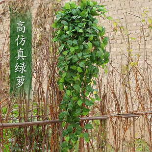 装饰遮挡挂墙绿植仿真吊篮绿萝假花藤条壁挂植物吊兰藤蔓绿叶垂吊