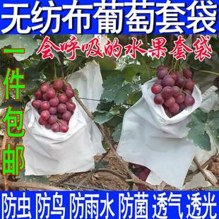 不织布葡萄套袋水果保护袋柚子桃子梨子枇杷露天防鸟果袋防虫防水