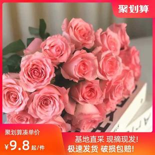 玫瑰花鲜花云南昆明基地直发新鲜批直发百合鲜切花束向日葵花瓶插