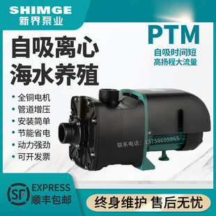 新界水泵PTM自吸泵增压泵离心泵式微型海水大流量养殖抽水机电泵