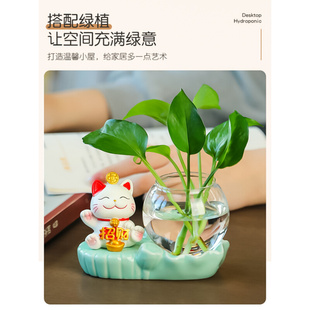 玻璃水植物招财猫摆设家居饰品摆件水培器皿插花小卡通茶桌养花瓶