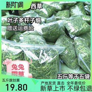 现货晒干提摩西干草兔子龙猫荷兰猪鼠宠物用品饲料牧草包邮现货