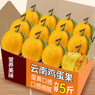 云南鸡蛋果新鲜蛋黄果孕妇水果热带水果5斤特产当季水果整箱包邮