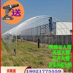 新款大棚支架拱杆塑料骨架小型蔬菜全套家用温室养鸡拱棚养殖钢架