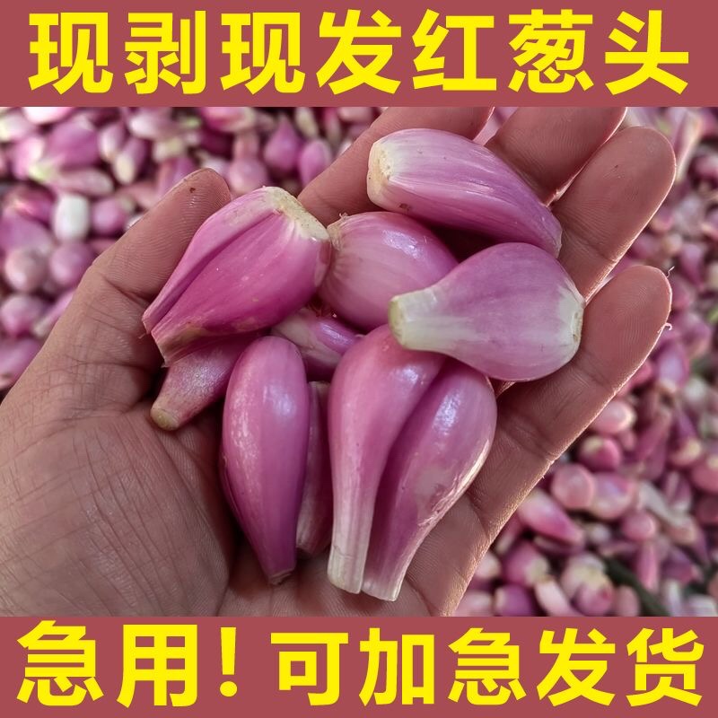 广东新鲜去皮红葱干葱头真空包装纯手