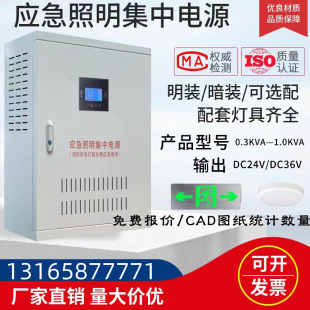 eps消防应急照明集中电源A型配电箱300W500W1KVA智能控制DC24V36V