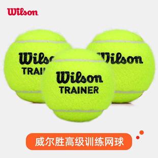 Wilson威尔胜网球训练球比赛网球威尔逊发球机耐打无压恒压网球