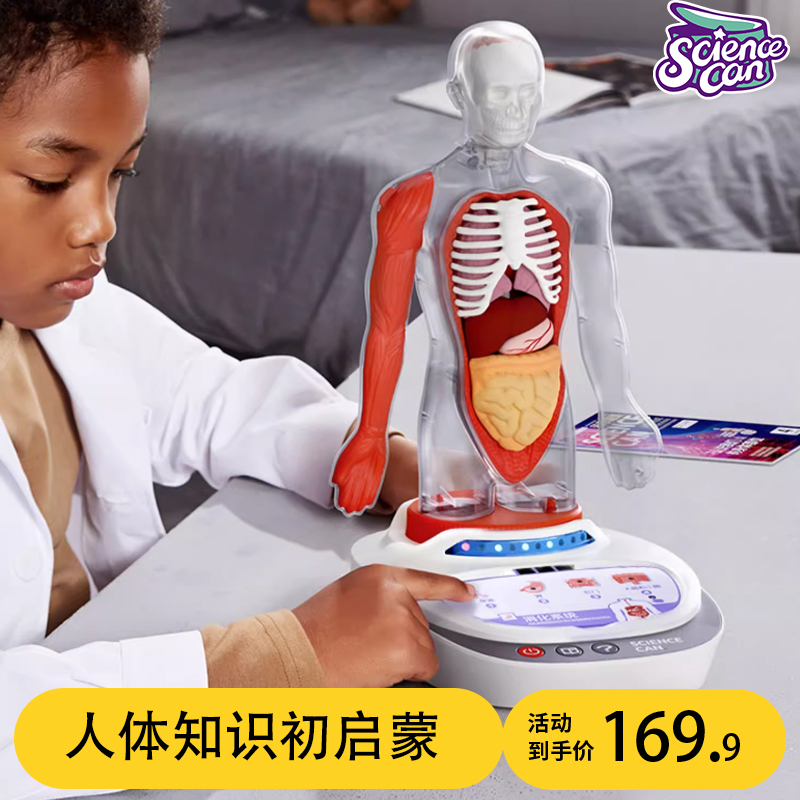 科学罐头人体解剖模型器官可拆卸儿童