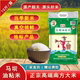 广东正宗马坝油粘米2023年新米10斤优质农家大米真空包装长粒香米