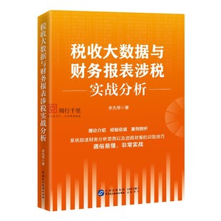 税收大数据与财务报表涉税实战分析 李先琴 著 智税大比武 税收数据分析 财务报表稽查