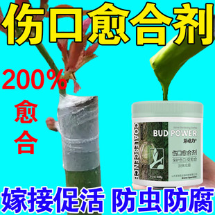 植物嫁接伤口愈合剂果树月季兰花修剪涂抹膏盆景树桩切口专用神器