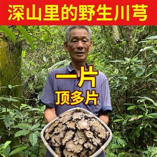 老周深山纯野生川芎500g中药材正品川穹弓丹参片饮茶调散粉四物汤