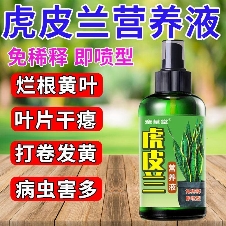 虎皮兰怎么养专用营养液兰科花盆栽水培肥料促发芽增绿植物生根剂