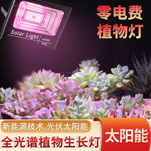 LED太阳能植物生长灯仿太阳光火龙果草莓育苗绿植上色多肉补光灯