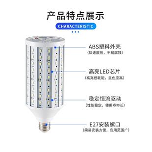 led玉米灯低压灯泡交直流12v24v36v太阳能电瓶灯夜市摆摊灯照明灯