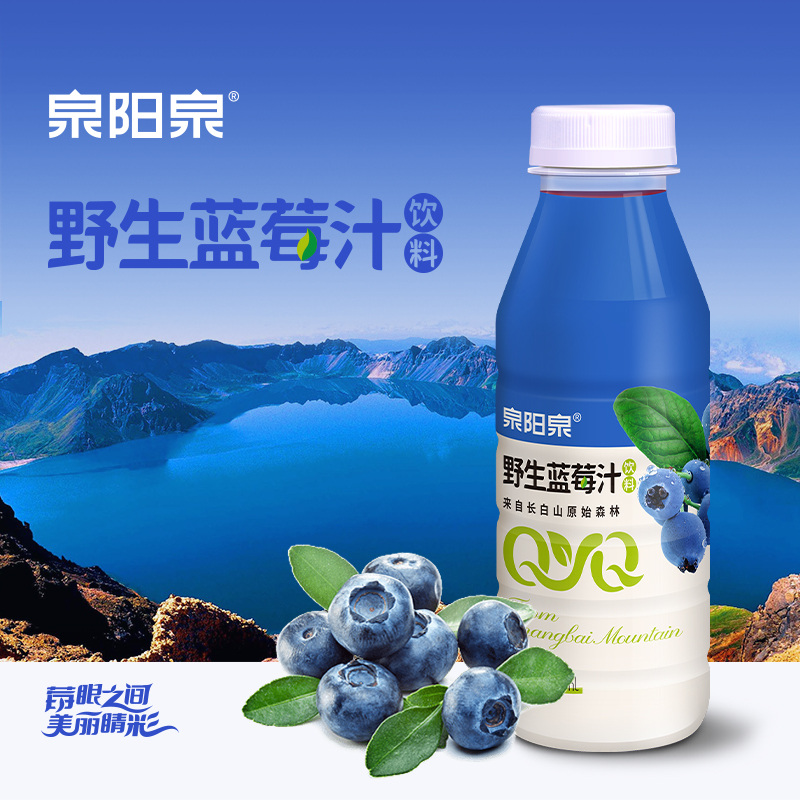泉阳泉长白山野生蓝莓汁饮料420ml*20瓶整箱包邮
