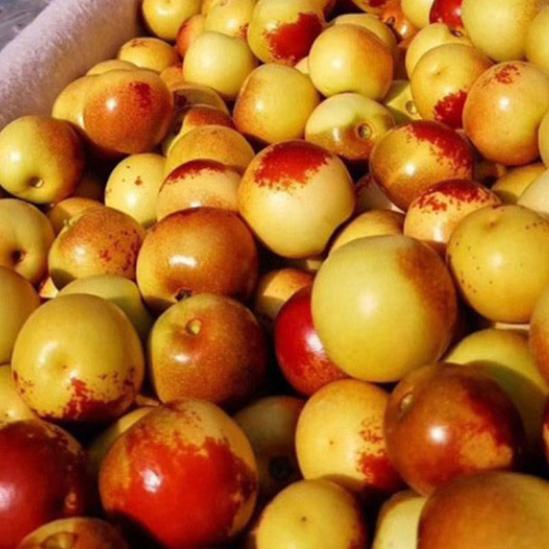 山东沾化冬枣39斤新鲜大枣脆甜冬枣当季新鲜水果现货整箱包邮