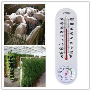 温室蔬菜大棚种植专用温湿度计家用室内温度表检测器监测养殖专用