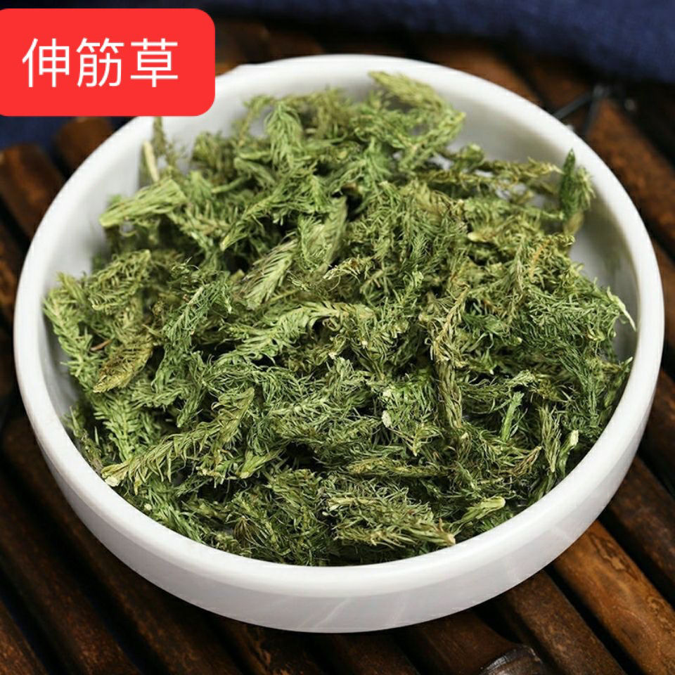 【甄选野生伸筋草】无硫中药材泡水煮水关节痛泡脚散装包邮海风藤