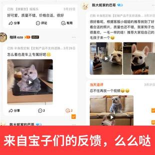 猫咪宠物摇头桌面摆件定制车载情绪稳定汽车摇摇乐治愈系礼物情侣