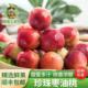 【顺丰包邮】正宗珍珠枣油桃脆甜离核枣桃红核枣蜜桃当季新鲜水果