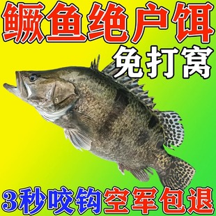 现货鳜鱼饵料桂鱼专用饲料超浓腥香鱼钓池塘黑坑湖泊水库器鱼神钓