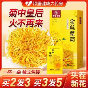 金丝皇菊正品菊花茶特級贡黄胎菊一朵一杯下清去目明火官方旗舰店