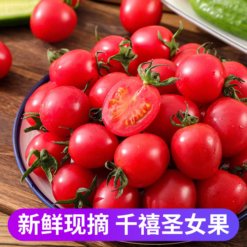 现摘圣女果小番茄新鲜应季水果酸甜小西红柿孕妇儿童新鲜超精品