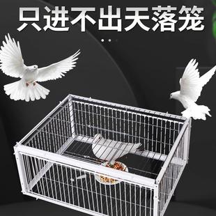 只进不出鸟笼全自动天落笼子撞门户外抓收鸽子神器捕加密可连续用