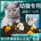 冻干猫粮10斤装5kg成猫幼猫蓝猫流浪猫生骨肉全价旗舰店营养发腮