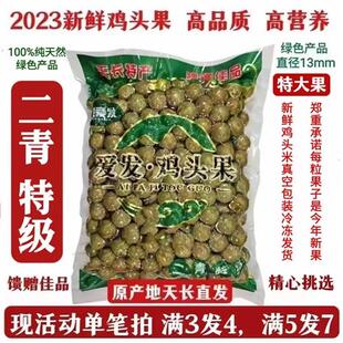 鸡头果芡实2023天长龙岗野生新鲜带壳鸡头米精品二青特级500g包邮