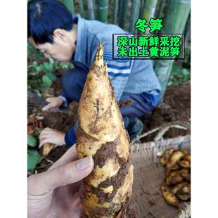 玉兰笋干干笋子玉兰片贵州冬筍冬笋干尖赤水土特产竹笋笋尖片干货