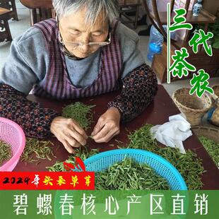 苏州洞庭东山碧螺春2024新茶头采 明前芽尖绿春茶叶150g装特一级