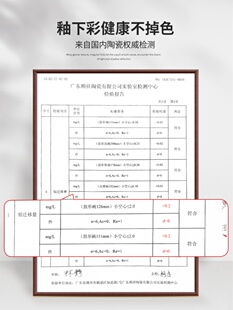 日式高颜值陶瓷菜盘盘子组合网红家用餐具双耳烤盘蒸鱼盘饭盘碟子