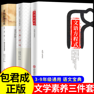 全套3册 文学素养图书三件套包君成文语方程式+重构阅读思维+破解古典诗词 小学初中我的语文作文课有道精品课录播课包成君图书